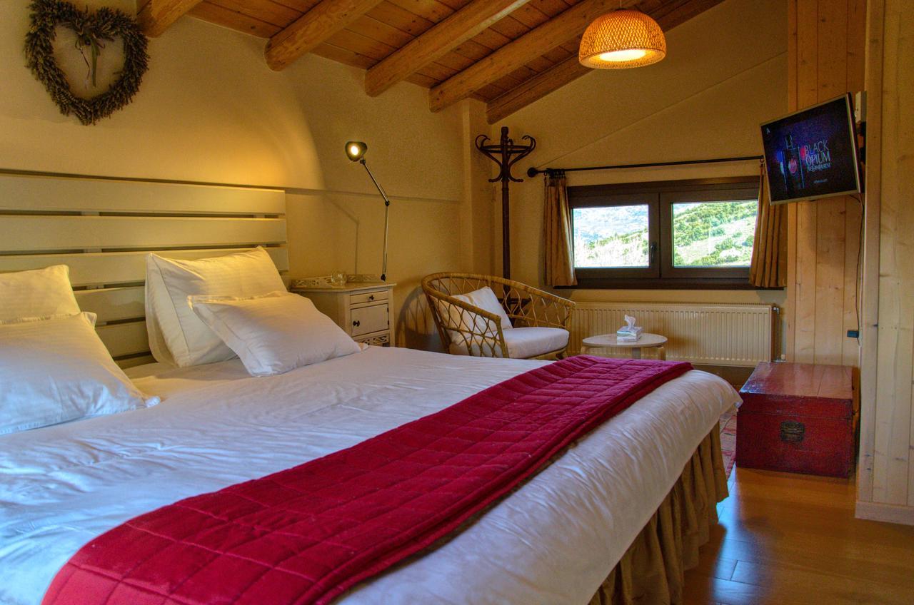 Levandes Houses Kalavryta Esterno foto